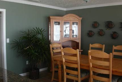 Dolphin Watch - St. Augustine, Florida