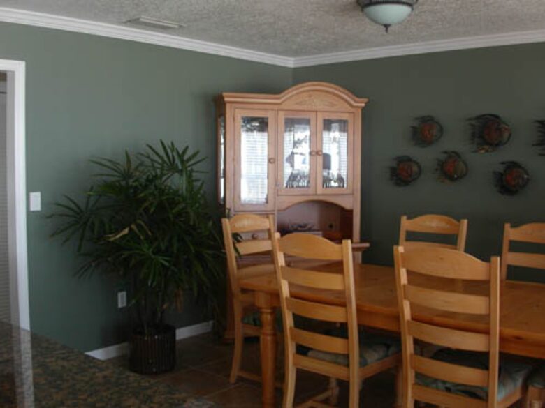 Dolphin Watch - St. Augustine, Florida