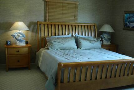 Dolphin Watch - St. Augustine, Florida