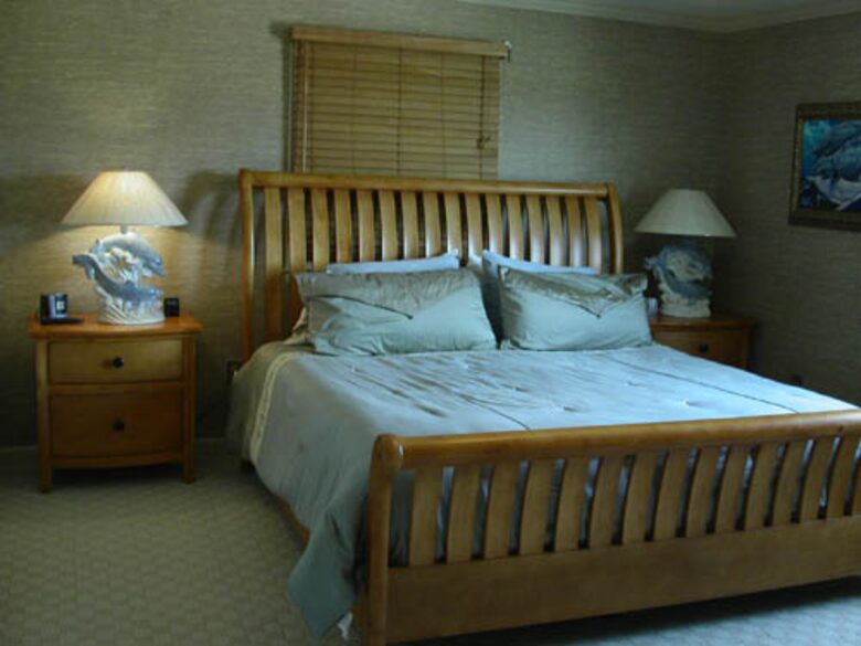 Dolphin Watch - St. Augustine, Florida