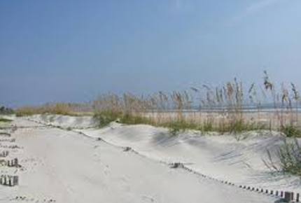 Dolphin Watch - St. Augustine, Florida