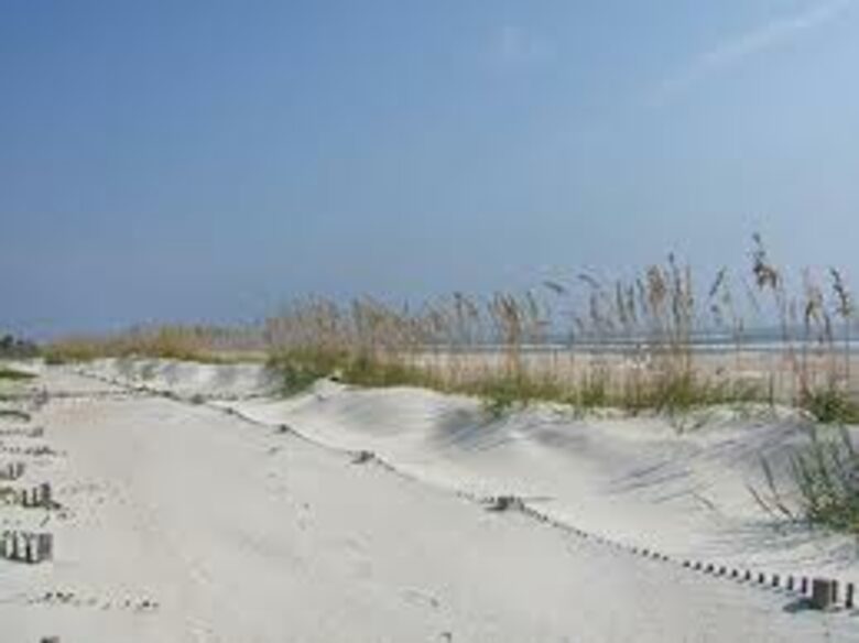 Dolphin Watch - St. Augustine, Florida