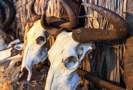 Santhata Camp - North Tuli Game Reserve, Botswana
