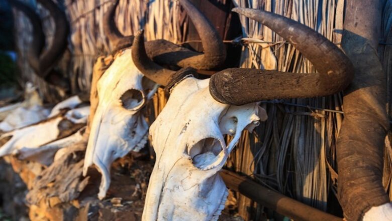 Santhata Camp - North Tuli Game Reserve, Botswana