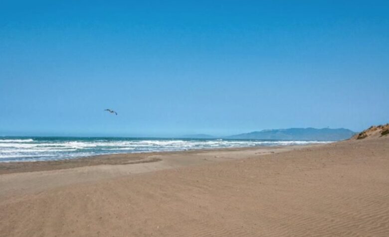 San Francisco Ocean Beach Retreat - San Francisco, California