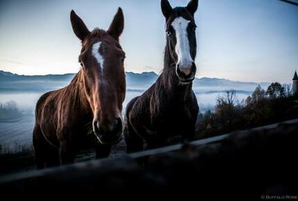 Chateau St. Philippe - Saint Jean de la Porte, France