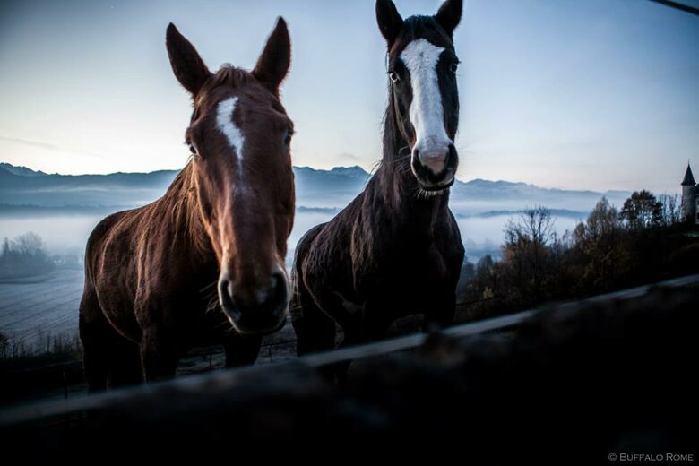 Chateau St. Philippe - Saint Jean de la Porte, France