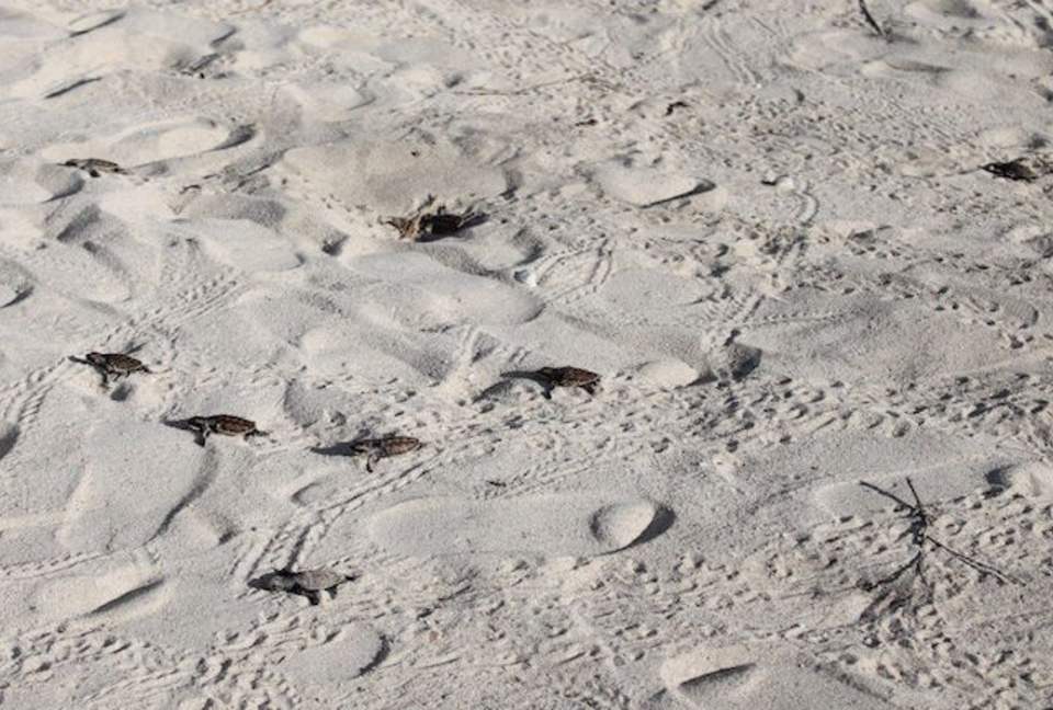 Noa Noa Island (R) - Taytay Bay, Philippines