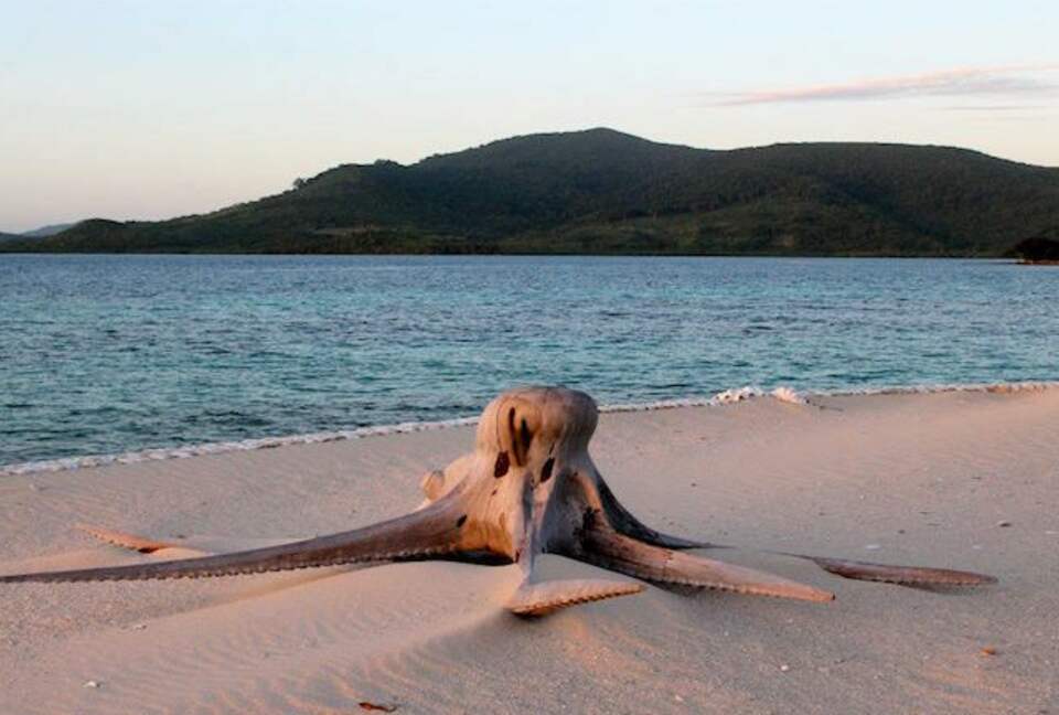 Noa Noa Island (R) - Taytay Bay, Philippines