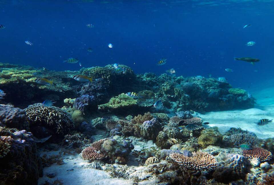 Noa Noa Island (R) - Taytay Bay, Philippines
