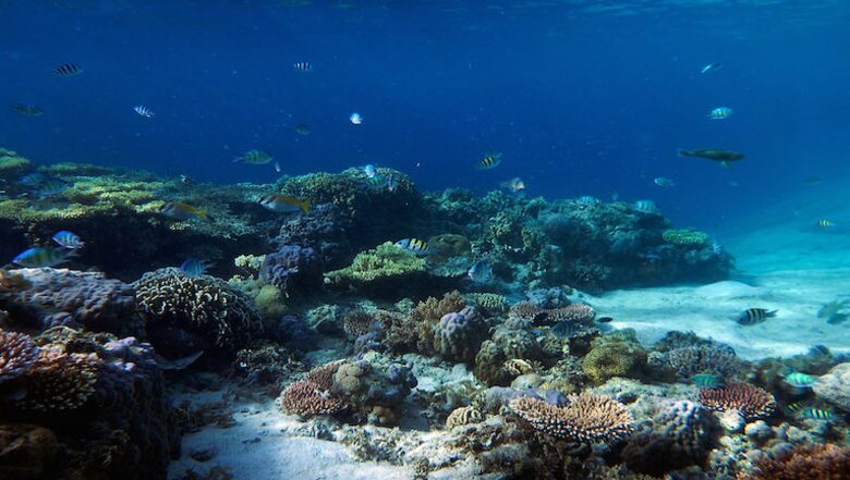 Noa Noa Island (R) - Taytay Bay, Philippines