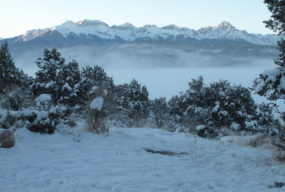 Campbird Cabin Retreat - Montrose, Colorado