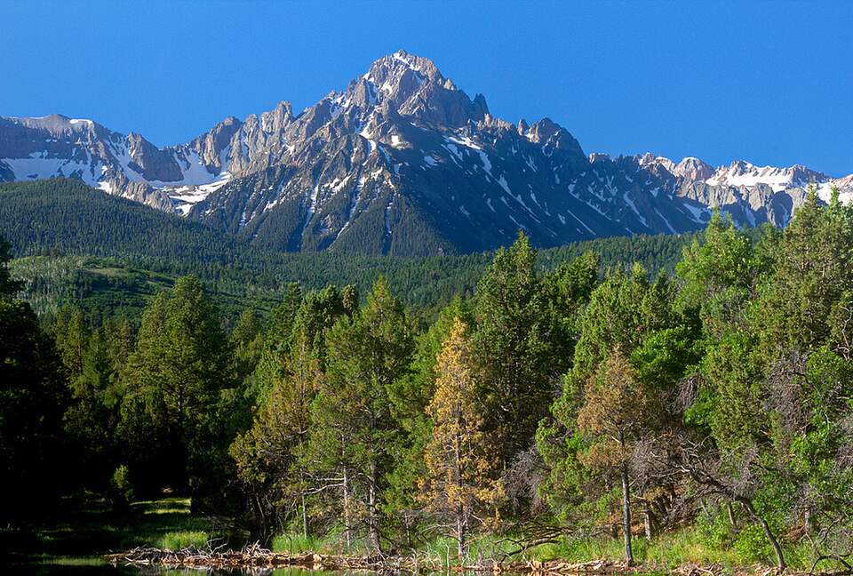 Campbird Cabin Retreat - Montrose, Colorado