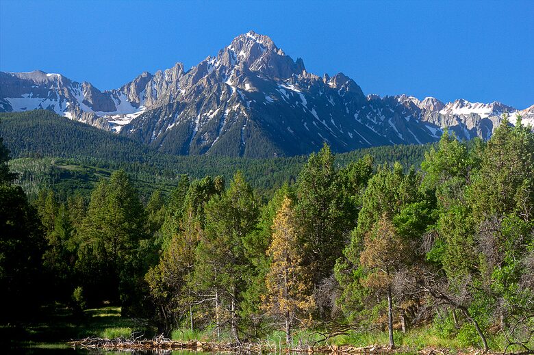 Campbird Cabin Retreat - Montrose, Colorado