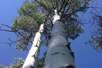 Luxury Vail Valley Estate in Cordillera - Cordillera, Colorado