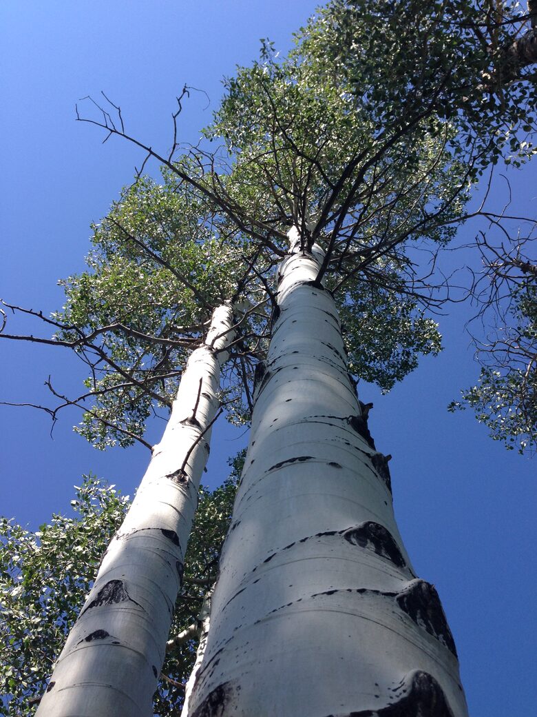 Luxury Vail Valley Estate in Cordillera - Cordillera, Colorado