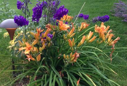 Luxury Vail Valley Estate in Cordillera - Cordillera, Colorado