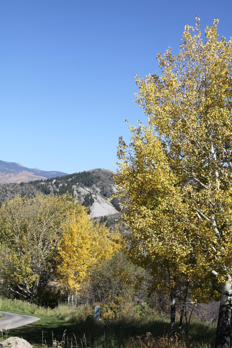 Luxury Vail Valley Estate in Cordillera - Cordillera, Colorado