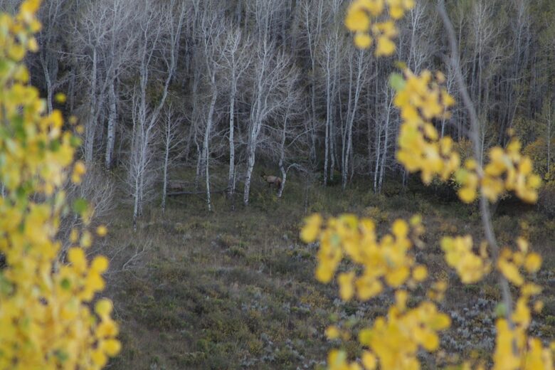 Luxury Vail Valley Estate in Cordillera - Cordillera, Colorado