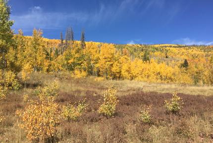 Luxury Vail Valley Estate in Cordillera - Cordillera, Colorado