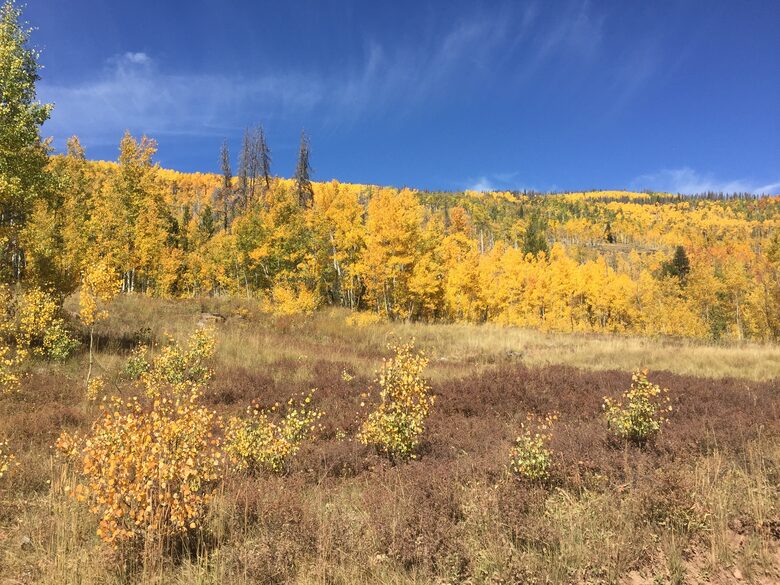 Luxury Vail Valley Estate in Cordillera - Cordillera, Colorado