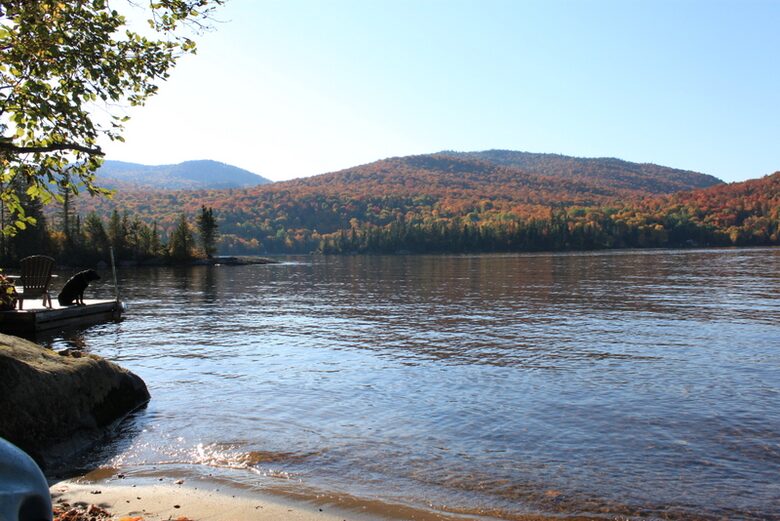 Lakefront Designer Home - St-Donat, Canada