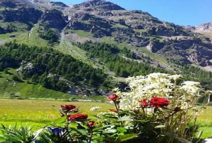 Home Exchange in Sils/Segl Maria, Graubunden, Switzerland