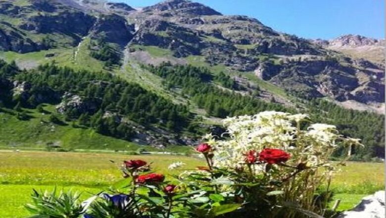 Home Exchange in Sils/Segl Maria, Graubunden, Switzerland