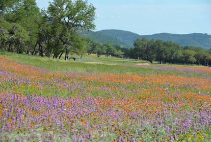 Frio D Ranch - Leakey, Texas
