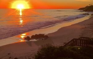 Stunning Beachfront House on Magnificent West Malibu Cove - Malibu, California