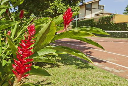 Maresias Beach Home - Maresias, Brazil