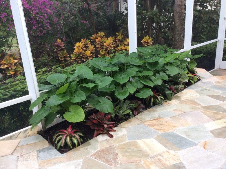 Bonita Bay Estate Home with glass walled dining room overlooking 10,000 gallon pond. - Bonita Springs, Florida