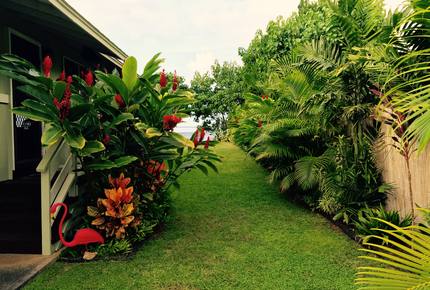 Northshore Beach Cottage - Waialua, Oahu, Hawaii