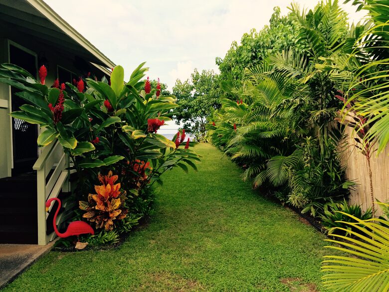 Northshore Beach Cottage - Waialua, Oahu, Hawaii