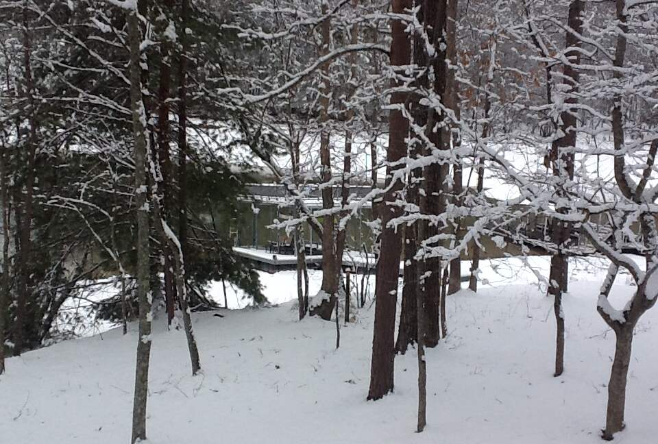 Make a Splash- Lakefront Cabin - Blue Ridge, Georgia