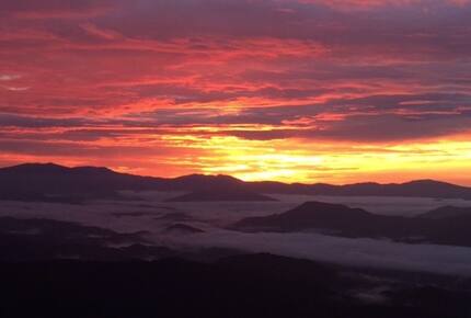 Grouse Thicket Cabin - Mars Hill, North Carolina