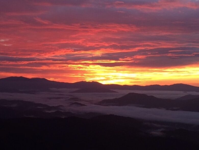 Grouse Thicket Cabin - Mars Hill, North Carolina