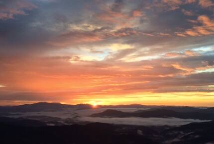 Grouse Thicket Cabin - Mars Hill, North Carolina