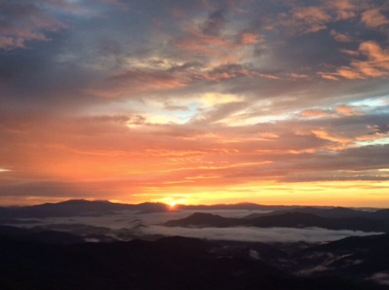 Grouse Thicket Cabin - Mars Hill, North Carolina