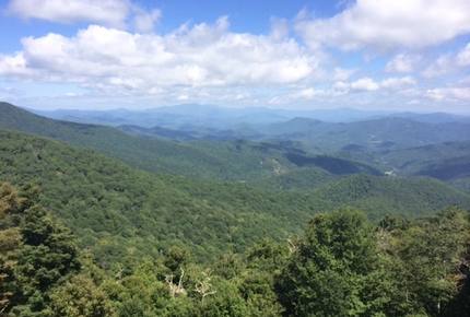 Grouse Thicket Cabin - Mars Hill, North Carolina