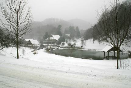 Grouse Thicket Cabin - Mars Hill, North Carolina