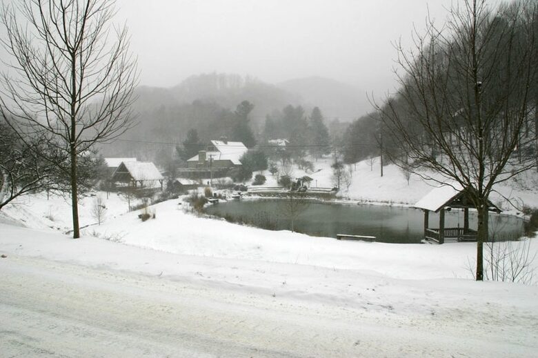 Grouse Thicket Cabin - Mars Hill, North Carolina