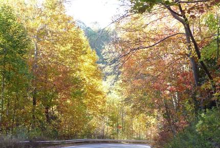 Grouse Thicket Cabin - Mars Hill, North Carolina
