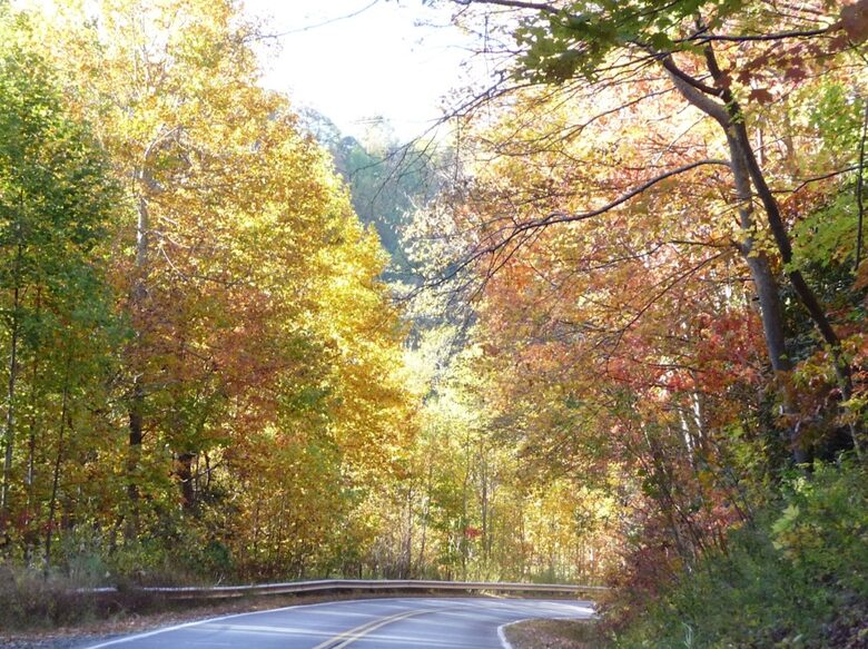 Grouse Thicket Cabin - Mars Hill, North Carolina