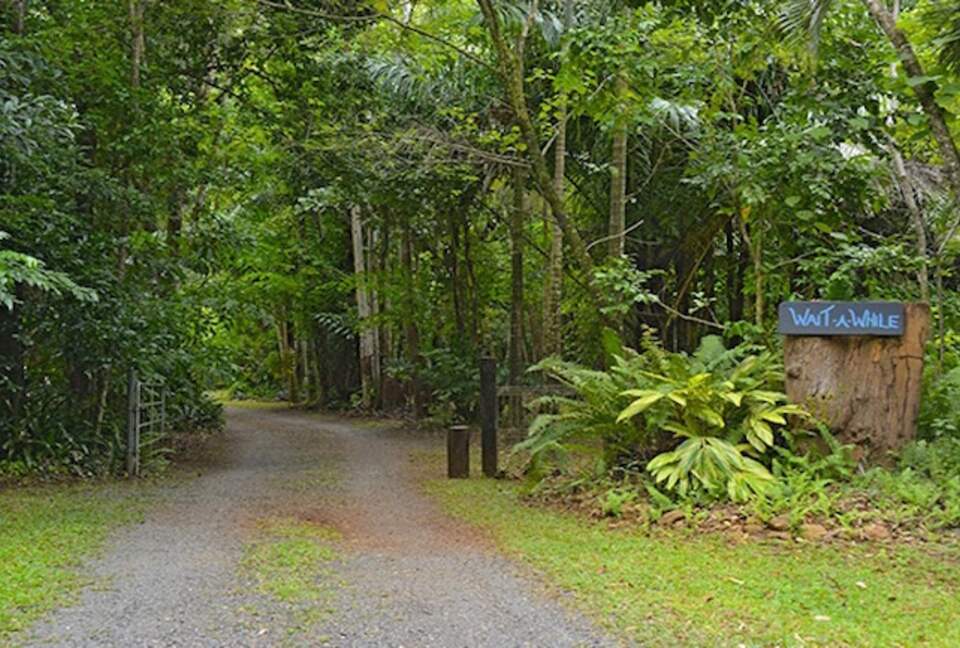 Wait A While Daintree - Daintree, Australia