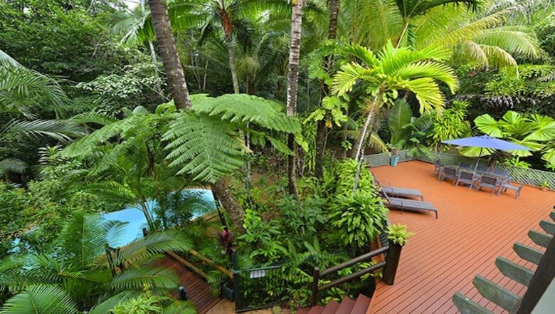 Wait A While Daintree - Daintree, Australia