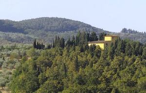 Historic Elegant Villa in a Vineyard near Florence - Impruneta, Italy