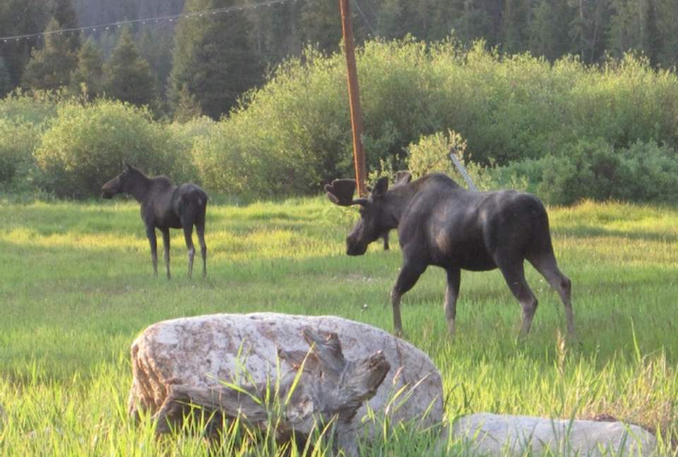 Luxury Slopeside Village Condo - Winter Park, Colorado