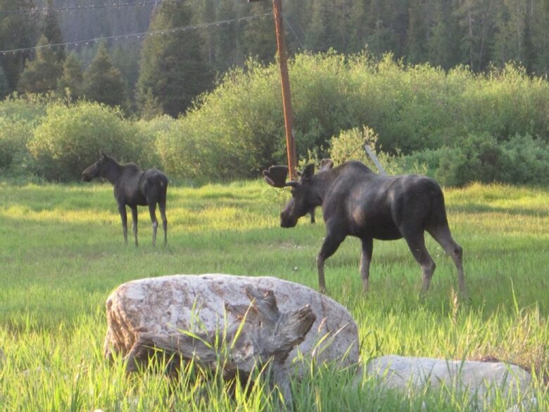 Luxury Slopeside Village Condo - Winter Park, Colorado
