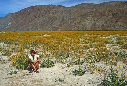 Borrego Springs/La Quinta - Borrego Springs, California